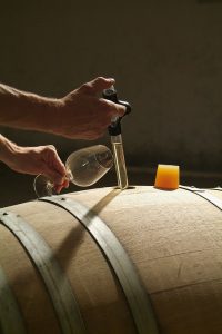 Contrôle de la maturation du vin de Pouilly-sur-Loire