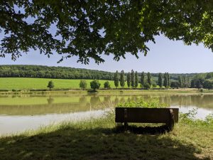 L'étang de Germenay, en forêt des Berteanges, à Poiseux. Photos Rémi Belot.