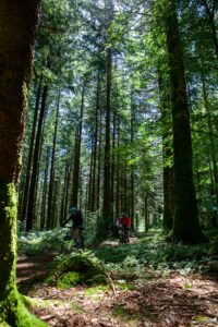 Sur les sentiers dans le Morvan / Photo par Aloha Studio