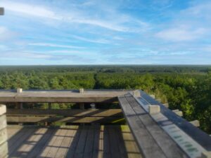 La forêt d’Orléans depuis l’observatoire des Caillettes / Wikimedia commons