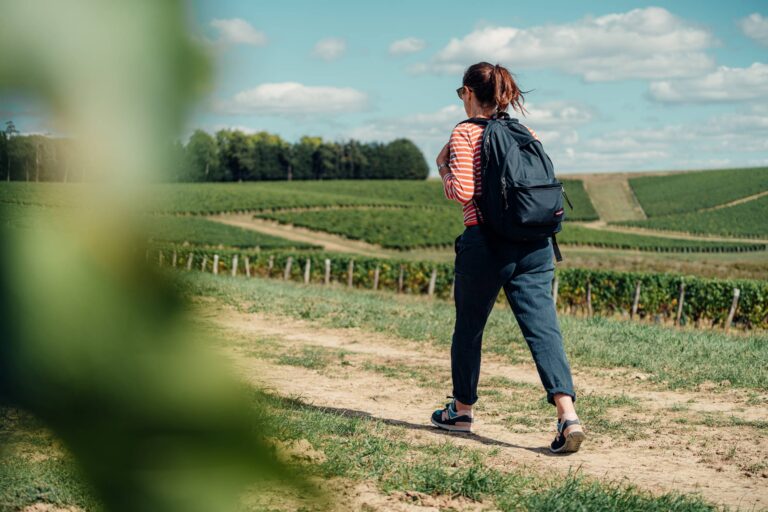 Randonnée dans les vignes de Pouilly / Photo par Romain Liger pour Koikispass